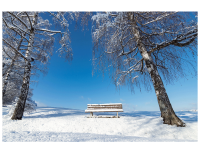 Wintermaerchenwegsbaenkle