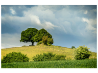 Bettina Nädele - Bei Rangendingen
