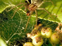 Dimitrios Gialamidis