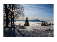 Dorothea Steingräber