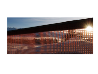 Dorothea Steingräber