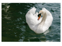 Dorothea Steingräber