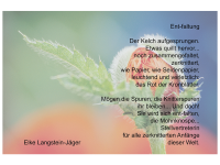 Elke Langstein-Jäger