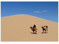 Mongolia Wüstentour