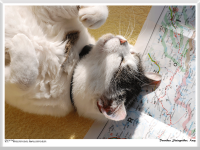 Dorothea Steingräber - Lucy