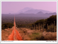 Herbert Bieser - langer Weg