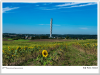 Rolf Berner - Rottweil