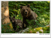 Siegmar Riede - Familienglück
