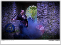 Siegmar Riede - Shieldmaid