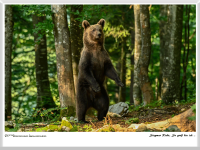 Siegmar Riede - so groß bin ich