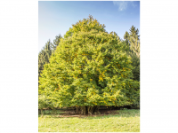 Bettina und Theo Nädele