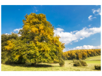 Bettina und Theo Nädele