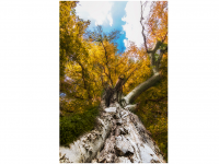 Bettina und Theo Nädele