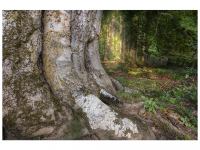 Bettina und Theo Nädele