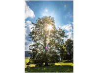 Bettina und Theo Nädele