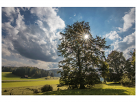 Bettina und Theo Nädele