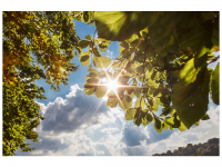 Bettina und Theo Nädele