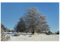 Sieglinde Seitz, Rainer Schmitt