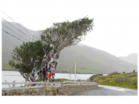 Sieglinde Seitz, Rainer Schmitt