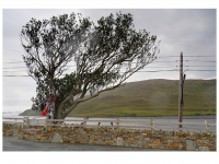 Sieglinde Seitz, Rainer Schmitt