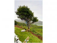 Sieglinde Seitz, Rainer Schmitt