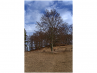 Sieglinde Seitz, Rainer Schmitt