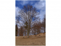 Sieglinde Seitz, Rainer Schmitt