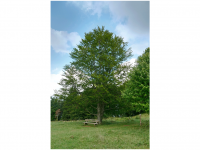 Sieglinde Seitz, Rainer Schmitt