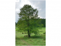 Sieglinde Seitz, Rainer Schmitt