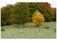 Sieglinde Seitz, Rainer Schmitt