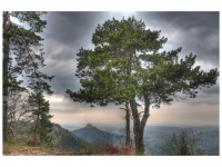 Sieglinde Seitz, Rainer Schmitt