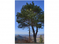 Sieglinde Seitz, Rainer Schmitt