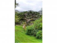 Sieglinde Seitz, Rainer Schmitt