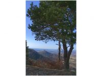 Sieglinde Seitz, Rainer Schmitt