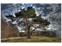 Sieglinde Seitz, Rainer Schmitt