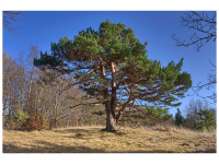 Sieglinde Seitz, Rainer Schmitt