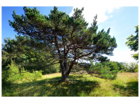 Sieglinde Seitz, Rainer Schmitt