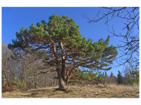 Sieglinde Seitz, Rainer Schmitt