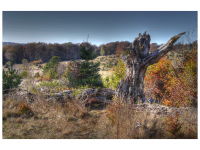 Sieglinde Seitz, Rainer Schmitt