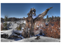 Sieglinde Seitz, Rainer Schmitt