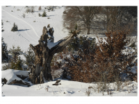 Sieglinde Seitz, Rainer Schmitt