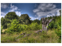 Sieglinde Seitz, Rainer Schmitt