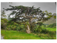 Sieglinde Seitz, Rainer Schmitt