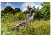 Sieglinde Seitz, Rainer Schmitt