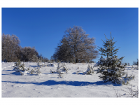 Sieglinde Seitz, Rainer Schmitt