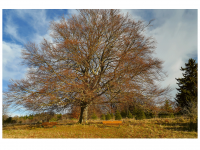 Sieglinde Seitz, Rainer Schmitt