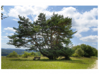 Sieglinde Seitz, Rainer Schmitt