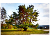 Sieglinde Seitz, Rainer Schmitt