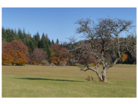 Sieglinde Seitz, Rainer Schmitt