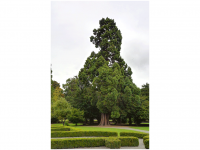 Sieglinde Seitz, Rainer Schmitt